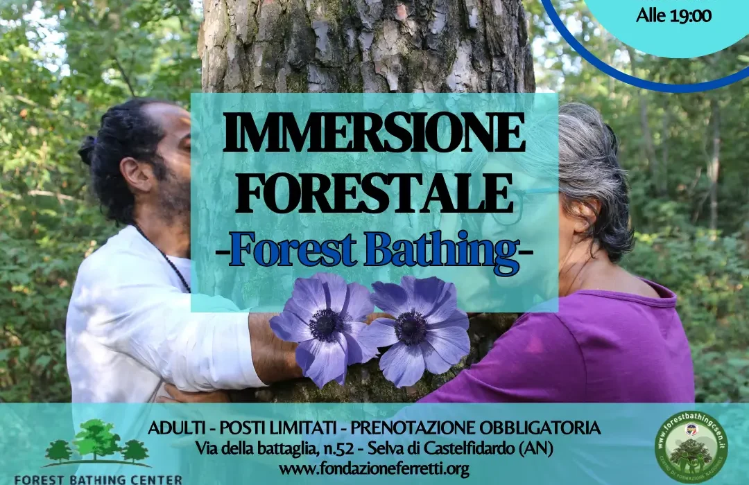 immersione forestale