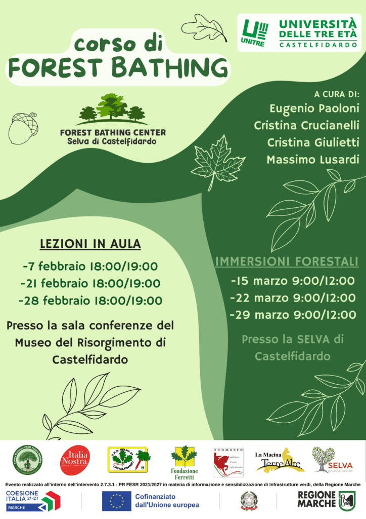 Corso di Forest Bathing